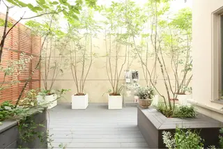 加藤 巳和のエステ・リラクイメージ