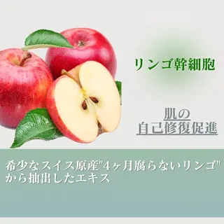 潤い艶肌／肌質改善 YUKAのエステ・リラクイメージ