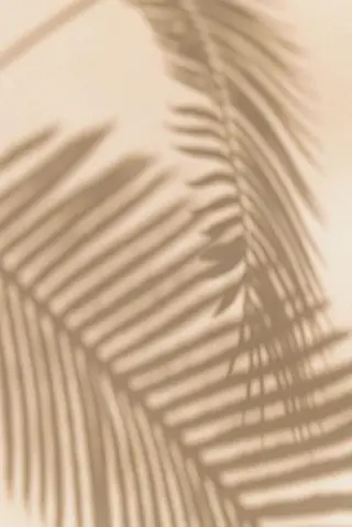 viii ヴィーのマツエク・マツパデザイン