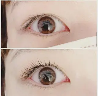 マツエク・マツパ ｍｉｐｐｙ 🪽のマツエク・マツパデザイン