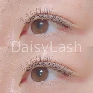 マツエク・マツパ DaisyLash 京橋店のマツエク・マツパデザイン