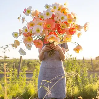 マツエク・マツパ ❤︎ kannoの眉毛・アイブロウイメージ