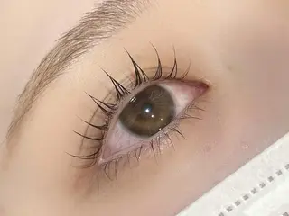 マツエク・マツパ ルクール上越店　高橋 奈津紀のマツエク・マツパデザイン