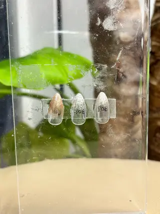 ネイル ercher 河井のネイルデザイン