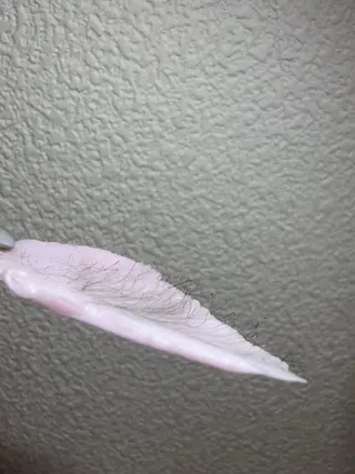 enine所属・enine フェイスWAXのエステ・リラクイメージ