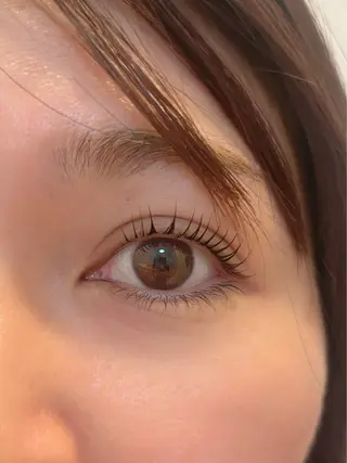 マツエク・マツパ 🌻SUZUKA .K🌻のマツエク・マツパデザイン