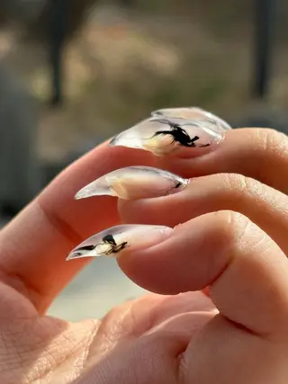 ネイル .8 HAREのネイルデザイン