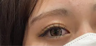 マツエク・マツパ PLUME🕊 yuunaのマツエク・マツパデザイン