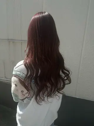 ロング 若山 敦のヘアスタイル