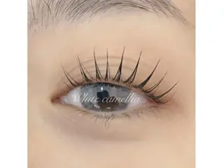 マツエク・マツパ 韓国風 束感まつ毛 🦋sanacoのマツエク・マツパデザイン