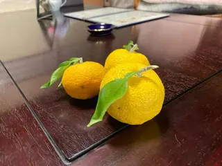 山嵜 まりこのその他イメージ