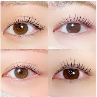 マツエク・マツパ R'ocoLush 恵比寿店江川のマツエク・マツパデザイン