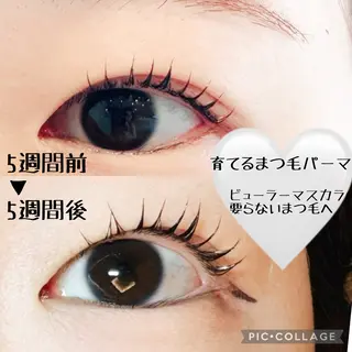 マツエク・マツパ ate eyelash 和泉府中店【まつげパーマ/ラッシ ユリフト/LED/東感バインド/眉毛】所属・もり まゆみのマツエク・マツパデザイン
