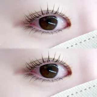 マツエク・マツパ TAKAHASHI 🎀✨韓国風/束感のマツエク・マツパデザイン