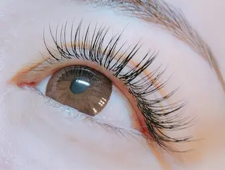 マツエク・マツパ ADDICT中目黒店所属・Ael Chiakiのエステ・リラクイメージ