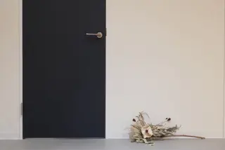 マツエク・マツパ 𝕄𝕆ℕ𝔻 🤍 𝔸𝕐𝔸𝕂𝔸のマツエク・マツパデザイン