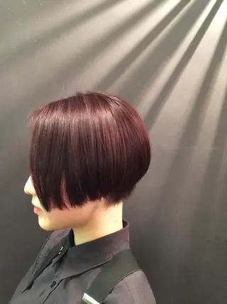 ショート 🌸ハイトーン 新田　廉 🌸のヘアスタイル