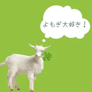 ミディアム カラー パーマ ヘアアレンジ メンズ キッズ ネイル マツエク・マツパ アイブロウ ニキビ・肌質改善専門 ♡人生が変わるサロンのエステ・リラクイメージ