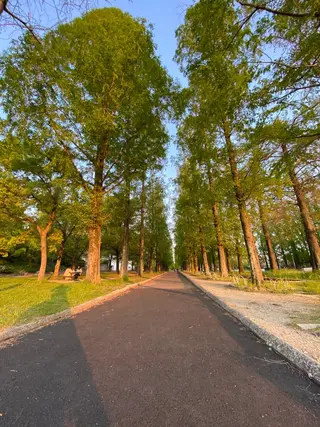 メンズ TOTAL BODY CARE SALON SUNNY所属・整体小顔・筋膜オイル ブライダルエステのエステ・リラクイメージ