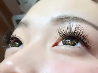 マツエク・マツパ evolve by TypeAB所属・evolve  by TypeABのマツエク・マツパデザイン