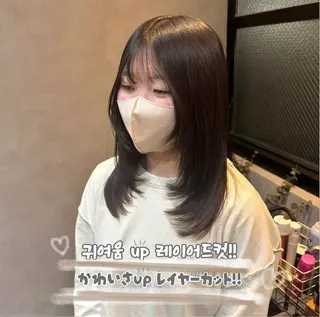 セミロング カラー 한국 스타일ෆ˚* 🎀オビツメイ🎀のヘアスタイル