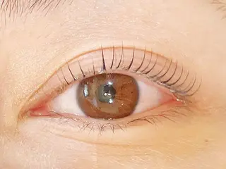 マツエク・マツパ pour voursのマツエク・マツパデザイン