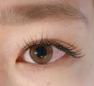 マツエク・マツパ MARL eyelash 小嶋のマツエク・マツパデザイン