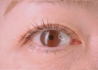 マツエク・マツパ CE AN _Eriのマツエク・マツパデザイン