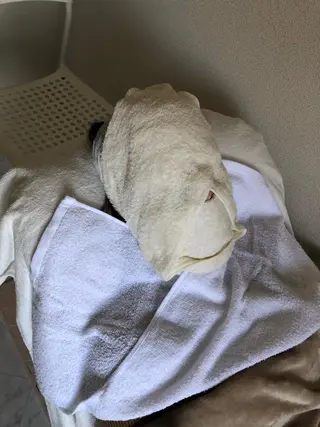 NAKASHIMA MAIMIのエステ・リラクイメージ