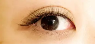 マツエク・マツパ Petila パティラ所属・Petila🐈‍⬛ Mayuriのマツエク・マツパデザイン