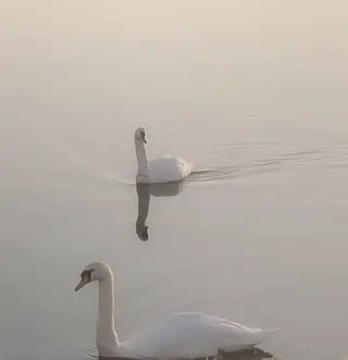 アイブロウ eyelly🌿 nanaの眉毛・アイブロウイメージ