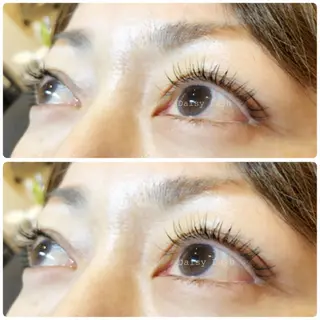 マツエク・マツパ Daisy Lash 梅田本店のマツエク・マツパデザイン