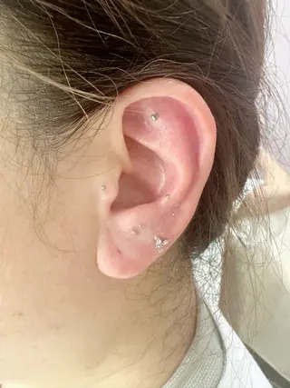 kai Marikaのその他イメージ