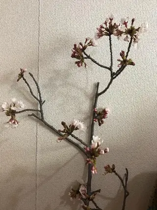 岩井 秋子のエステ・リラクイメージ