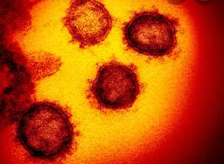 美容鍼灸イロドリ  のエステ・リラクイメージ