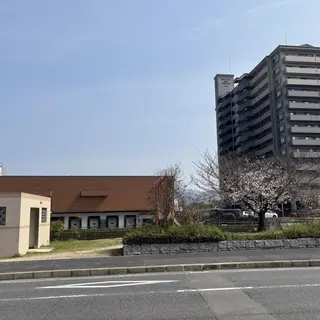 鈴木 愛花の眉毛・アイブロウイメージ