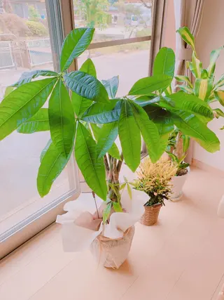 グランデ ルシアルのエステ・リラクイメージ