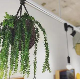 セミロング カラー LOuNICA/銀座 RYUNOSUKEのヘアスタイル