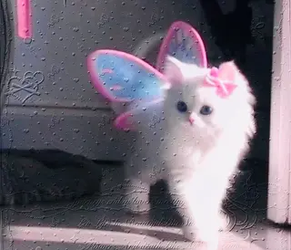 マツエク・マツパ eyelist. mizuki🐈‍⬛のマツエク・マツパデザイン