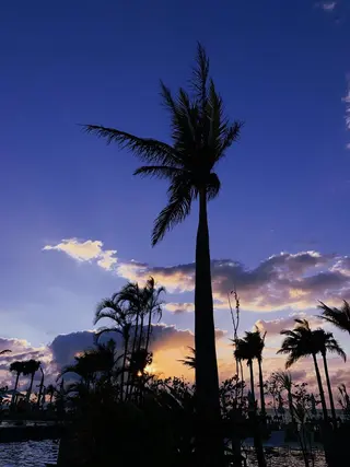 𝐘𝐎𝐒𝐇𝐈 𝐌𝐈🌞🏝のマツエク・マツパデザイン