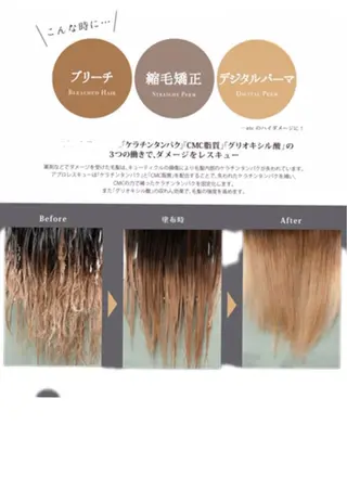 ロング 美髪クリエーター テラダタエコのヘアスタイル