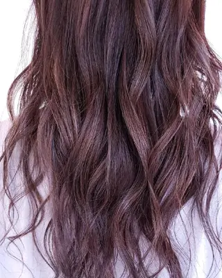 セミロング カラー 🌿小川 大輔🌿のヘアスタイル