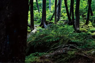 POLA クリスタルLavie所属・POLA クリスタル Lavie 原のエステ・リラクイメージ