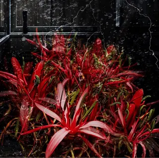 POLA THE BEAUTY 多治見けやき通り店所属・多治見店POLA 大島のエステ・リラクイメージ