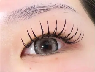 マツエク・マツパ FLY NAIL&Eyelash Salon 梅田店所属・YUKI FUKUMARUのマツエク・マツパデザイン