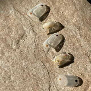 ネイル neouv所属・NEOUV NAILのネイルデザイン