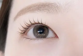 マツエク・マツパ Melia Chieのマツエク・マツパデザイン