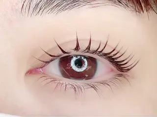 マツエク・マツパ Dolce.Eye 大宮店　MIHOのマツエク・マツパデザイン