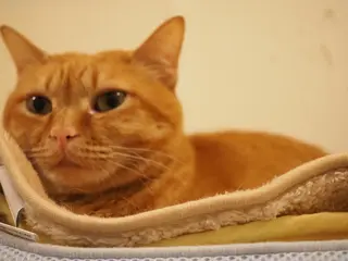 kiki nail 二子玉川のネイルデザイン