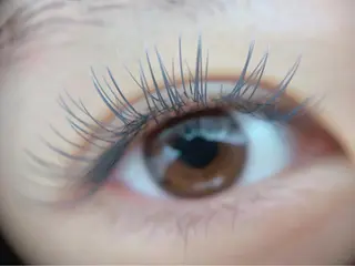 マツエク・マツパ まつ毛、眉毛 専門店🎀🐻のマツエク・マツパデザイン